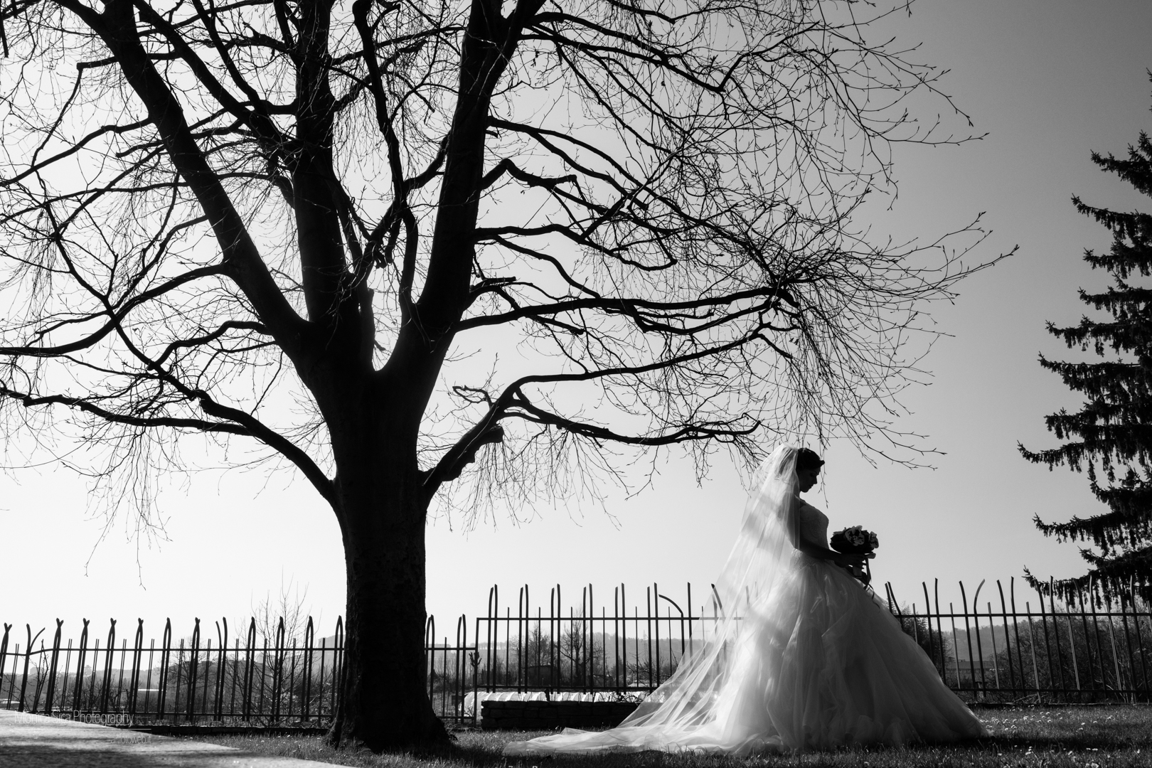 monica sica_art foto_vecchio castagno_cocconato d'asti_matrimonio_065