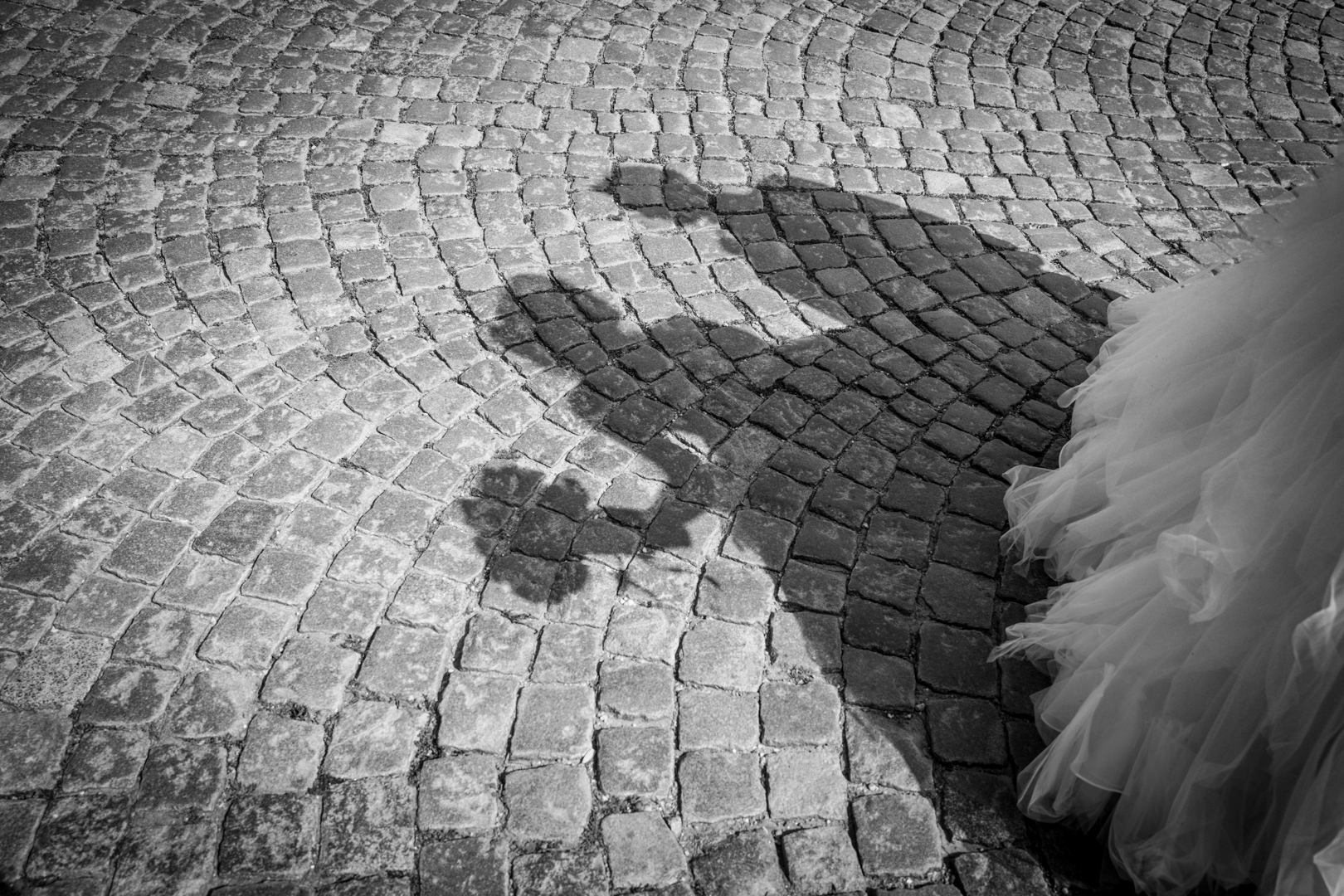 monica sica_art foto_vecchio castagno_cocconato d'asti_matrimonio_080